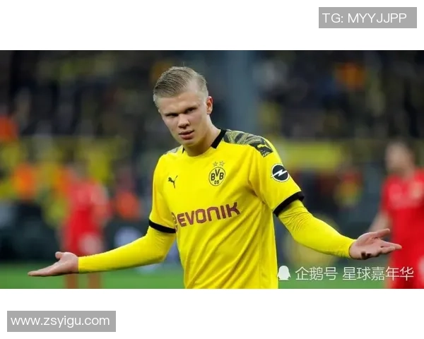 德甲焦点战波尔图大胜利物浦点球大战引发全场热潮分析